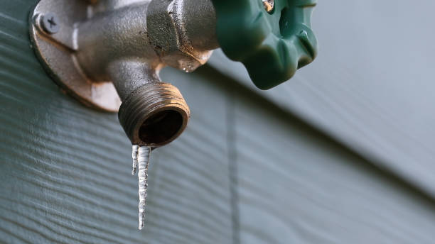 Best Local Plumber Services  in Goose Creek, SC